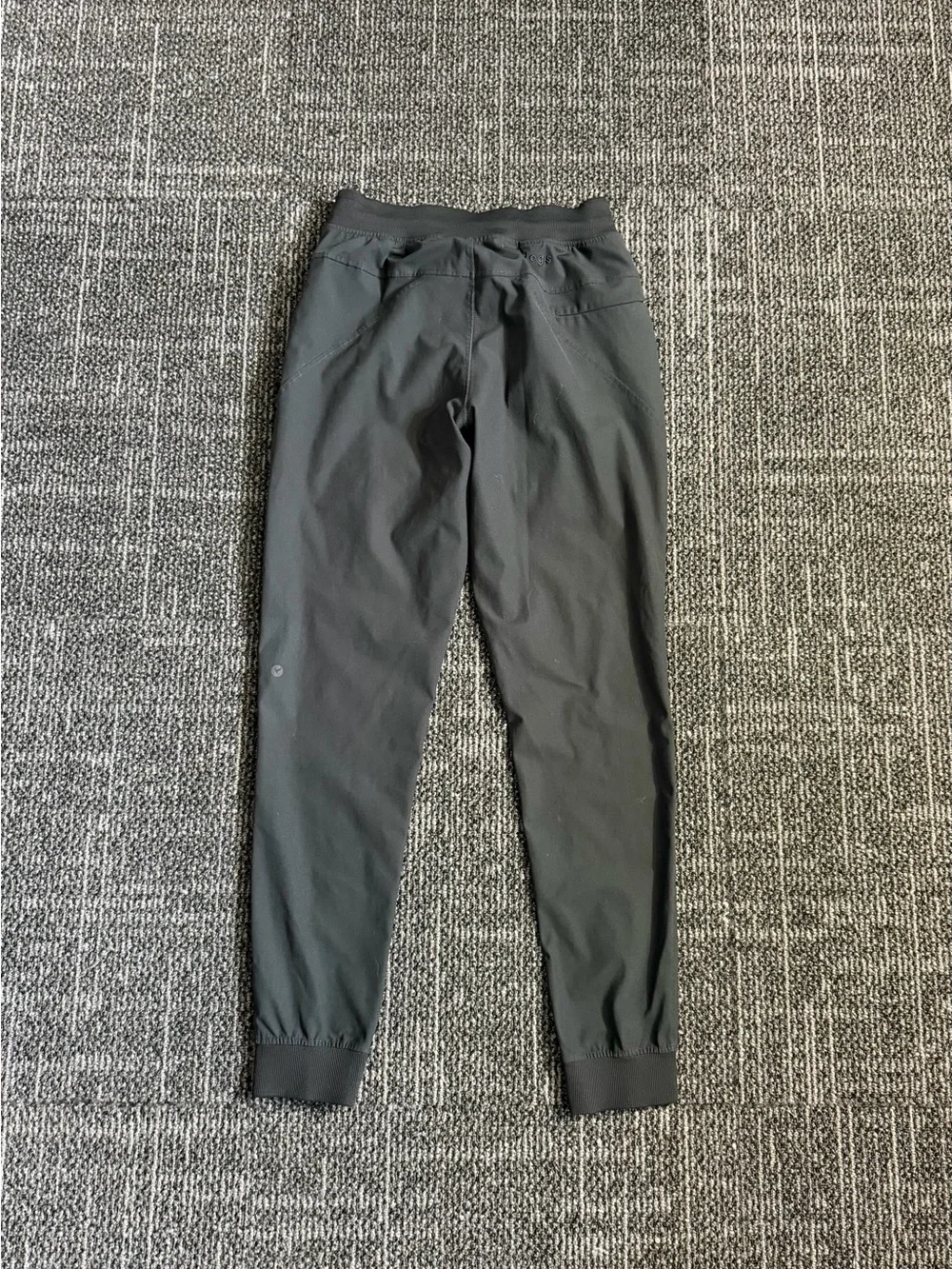 Birddogs sleek black